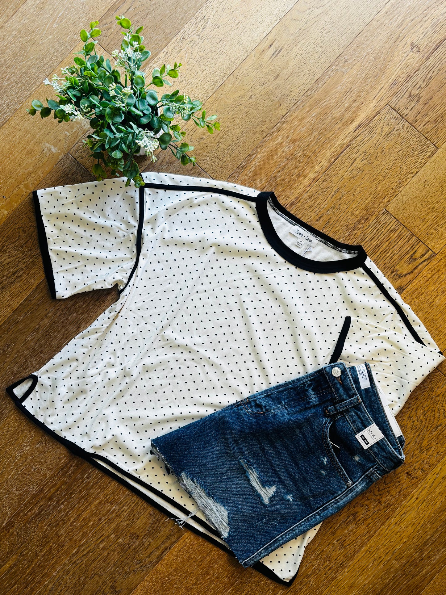 Polka Dot Contrast Trim Top
